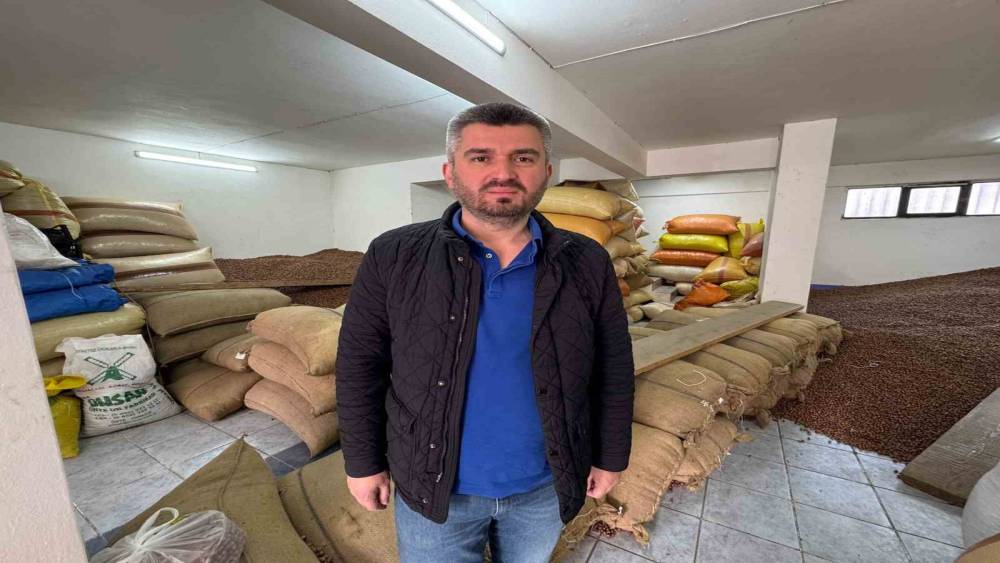 D&uuml;şmeye devam eden fındık fiyatını yeni sezon rekoltesi belirleyecek
