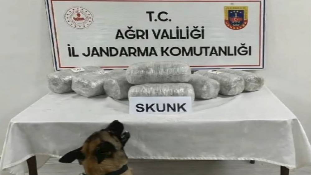 Ağrı&rsquo;da 10 kilogram skunk ele ge&ccedil;irildi, 1 ş&uuml;pheli tutuklandı
