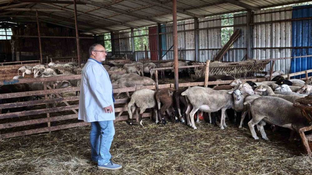S&uuml;t kalitesi ve hayvan sağlığı g&uuml;vence altında
