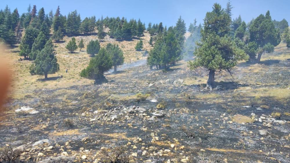 Kahramanmaraş&rsquo;ta iki orman yangını kontrol altına alındı

