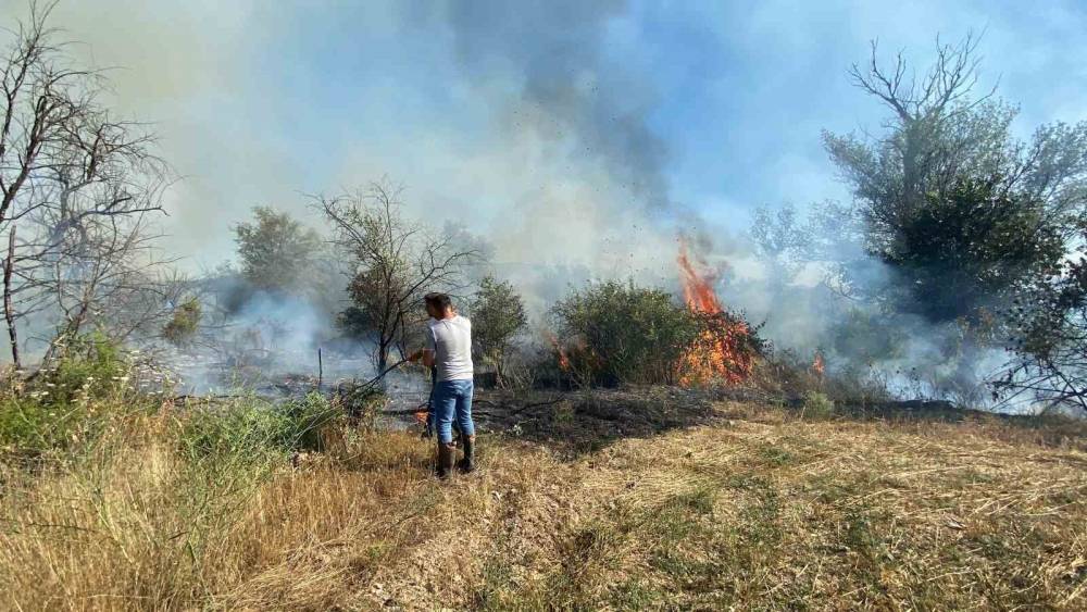 &Ccedil;ankırı&rsquo;da &ouml;rt&uuml; yangını ağa&ccedil;lık alana sı&ccedil;radı
