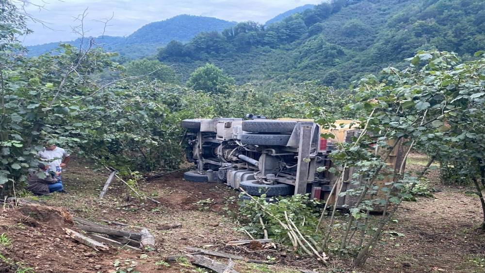 Ordu&rsquo;da &ccedil;akıl y&uuml;kl&uuml; kamyon ile otomobil &ccedil;arpıştı: 2 yaralı

