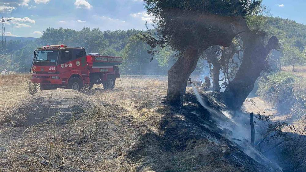 Kastamonu&rsquo;da &ccedil;ıkan &ouml;rt&uuml; yangını s&ouml;nd&uuml;r&uuml;ld&uuml;
