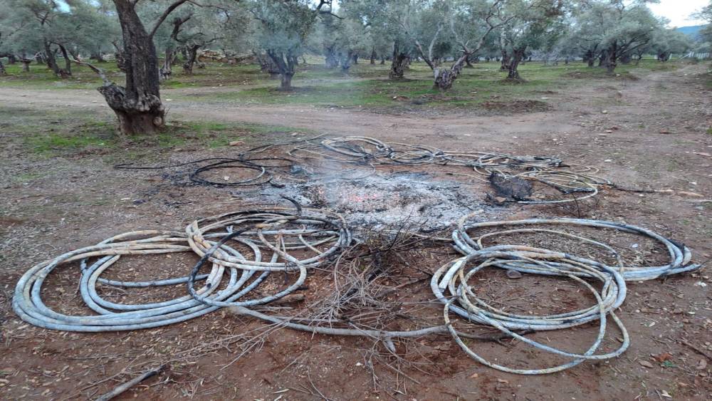 Çaldıkları enerji kablolarını yakınca yakalandılar
