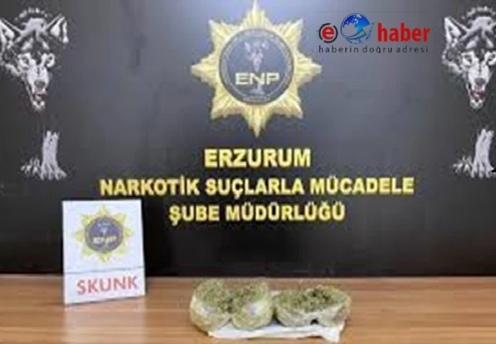 Erzurum&rsquo;da 23 kilo skunk ve 11 kilo metamfetamin ele ge&ccedil;irildi