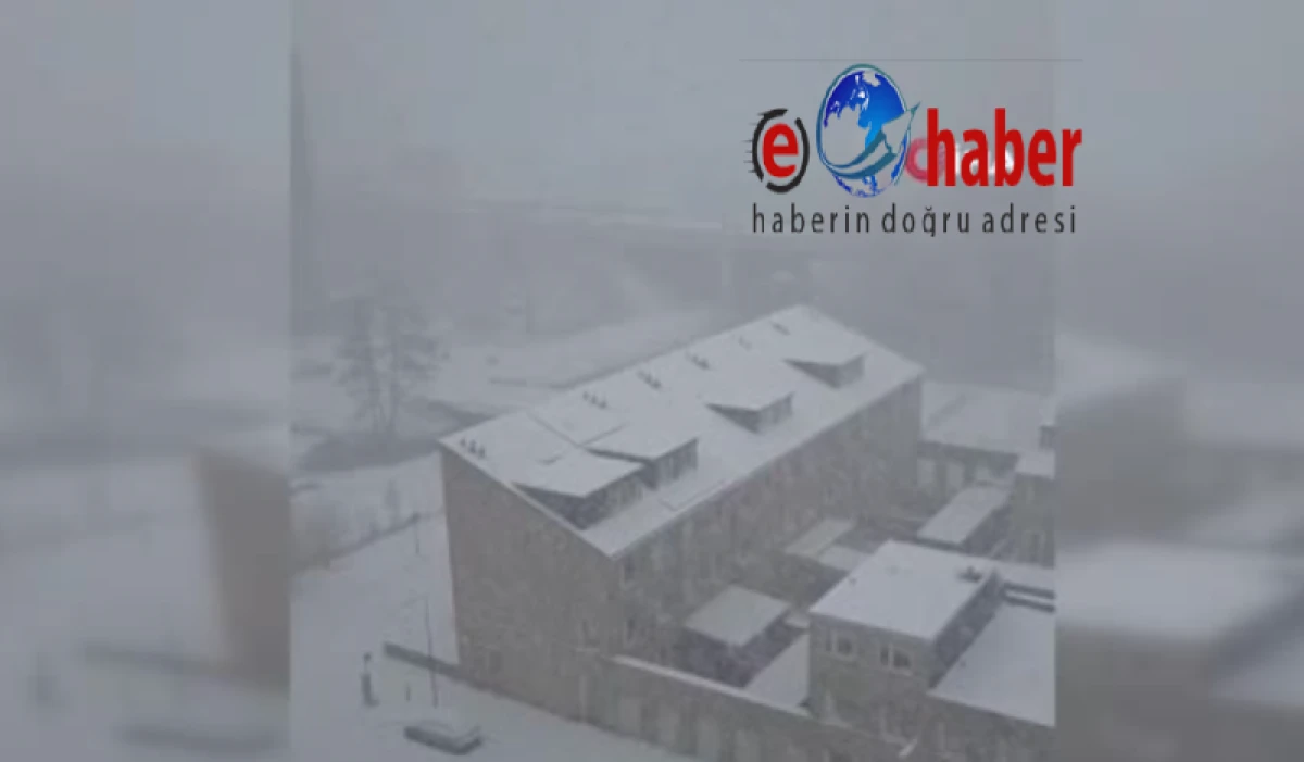 Hollanda kara teslim: Bin 50 u&ccedil;uş iptal edildi 