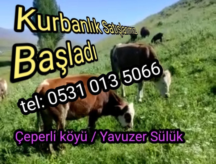 Kurbanlık satış